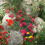 Philippos Aparthotel 2*