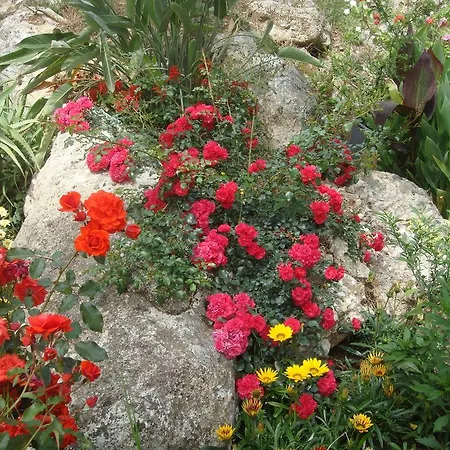 Philippos Aparthotel 2*