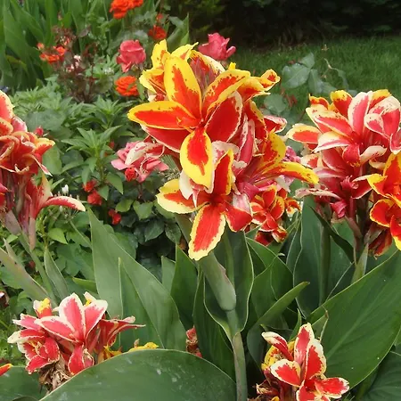 アパートホテル Philippos ニキアナ