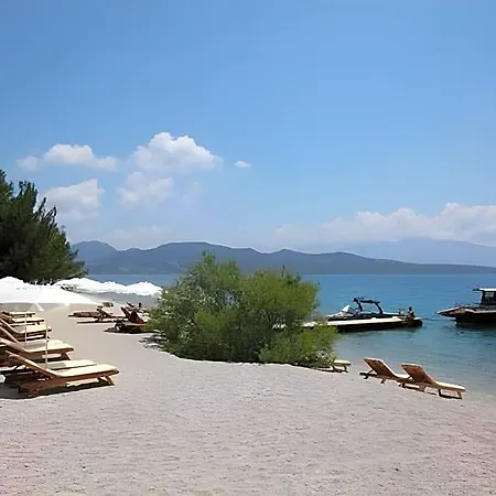 Philippos 2* Nikiana